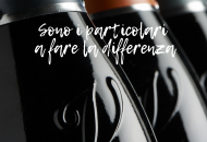 „V“ for Valdobbiadene | The particulars that make the difference