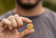 Aspettando la vendemmia 2025