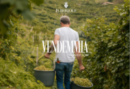 Visite a Valdobbiadene durante la Vendemmia 2026