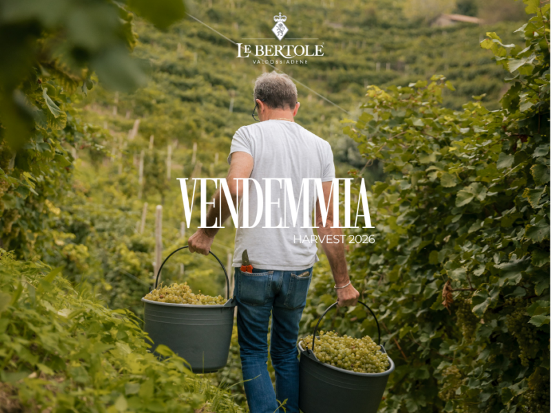 Visite a Valdobbiadene durante la Vendemmia 2026