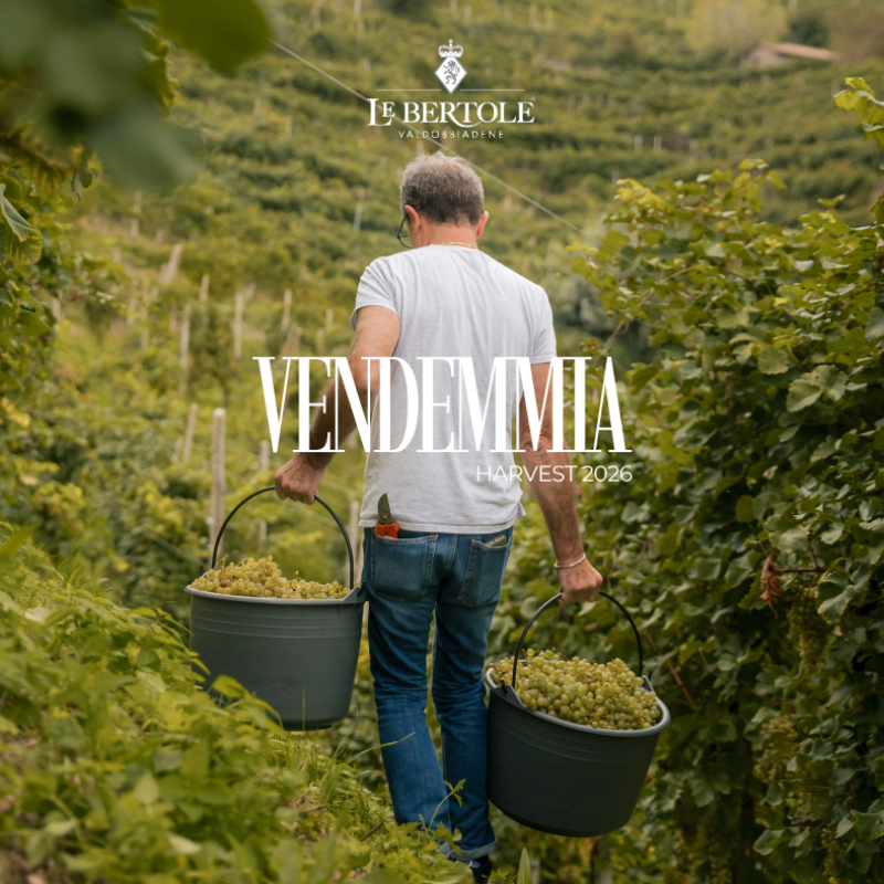Visite a Valdobbiadene durante la Vendemmia 2026